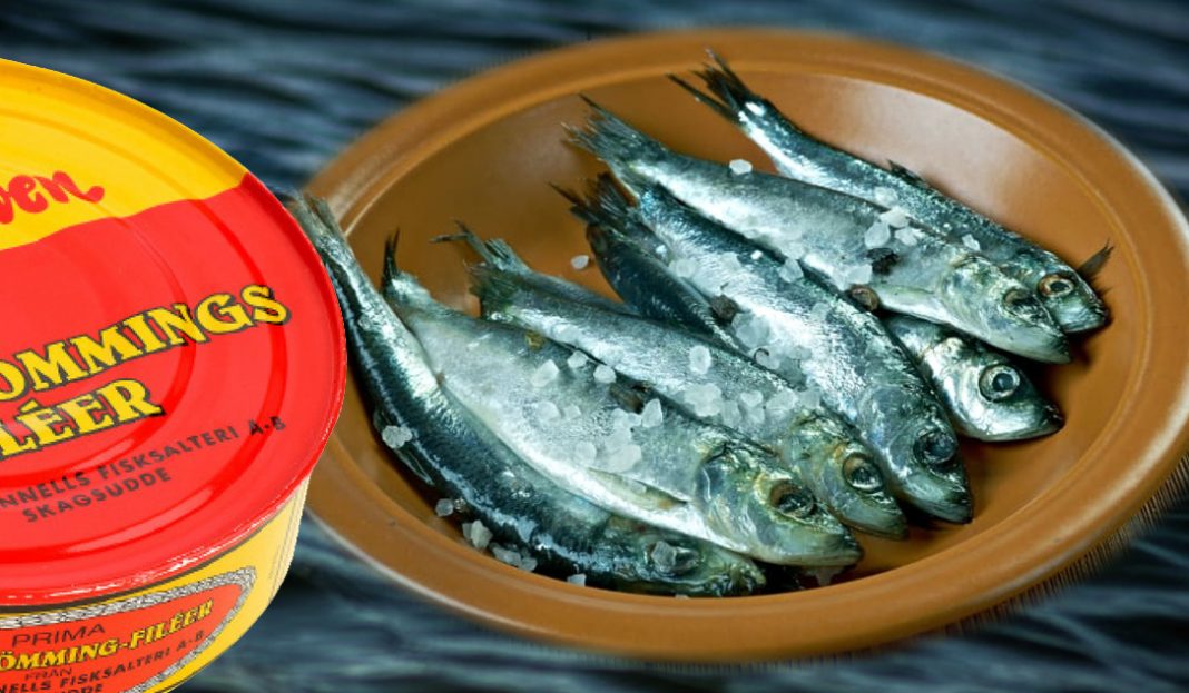 Surströmming