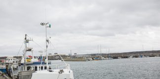 Fiskemöjligheter_2020_-_kvoter_för_Västerhavet_klara-1