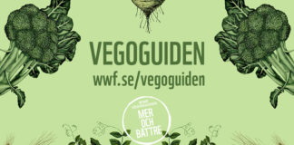 veckguiden