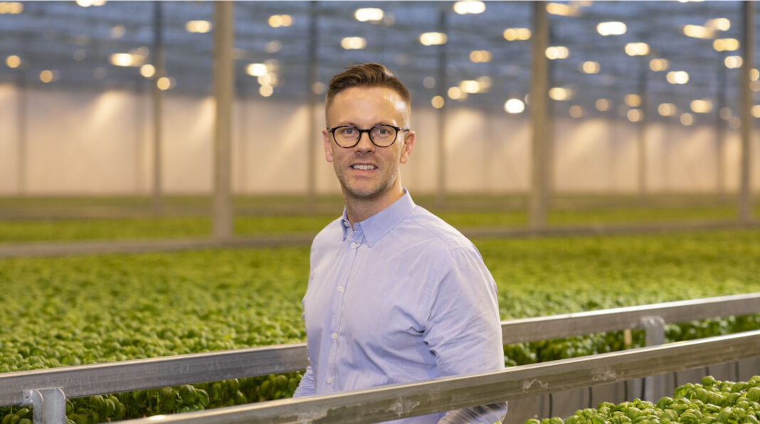 Oscar Rosdahl är VD för Svegro som odlar örter och sallat och satsar på utveckling av gröna smaker i form av t ex färsk örtpesto