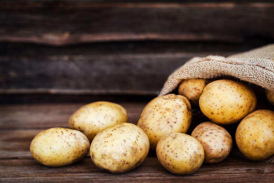 Potatis Årets Livsmedel