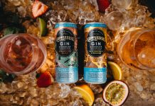 KopparbergGin&LemonadeAlcoholFree