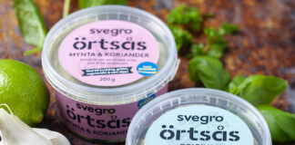 örtsås_gruppbild Svegro