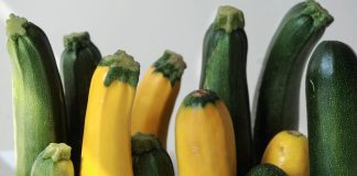 zucchini återkallas ICA