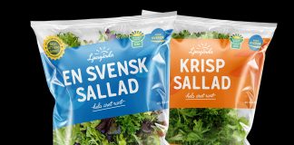 Sallad från Ljusgårda