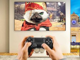 Meowscular Chef