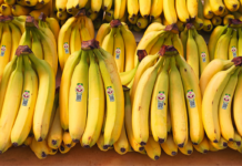 Greenfood Bananer