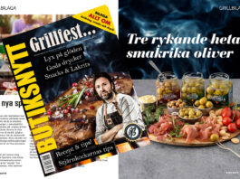 BUTIKSNYTT GRILLBILAGA 2023-60 kopiera
