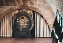 Codorníu Zero Sparkling
