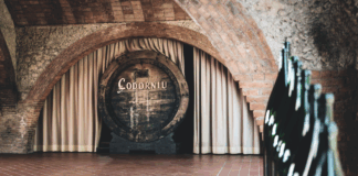 Codorníu Zero Sparkling
